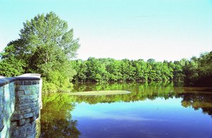Die Möhneaue an der Kanzelbrücke - Foto: Beerwerth