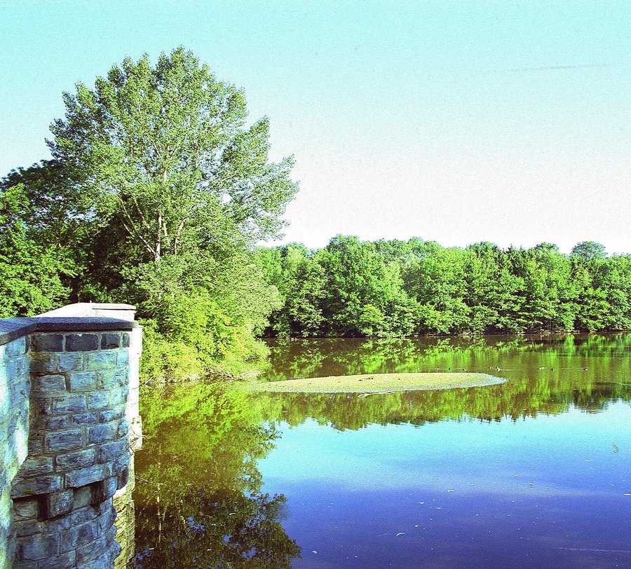 Die Möhneaue an der Kanzelbrücke - Foto: Beerwerth