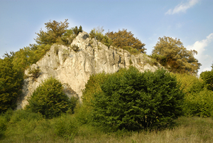 Hoher Stein - Foto: Thomas Weinstock Hoher Stein in Rüthen - Foto: Thomas Weinstock